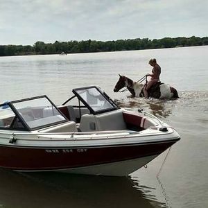 Meet your Posher, Dionne